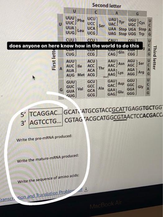 Solved Second letter Тут CAT CO с А G UUU Phe UCU UAU UGU U Chegg