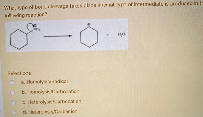 Solved What Type Of Bond Cleavage Takes Place In What Type Chegg