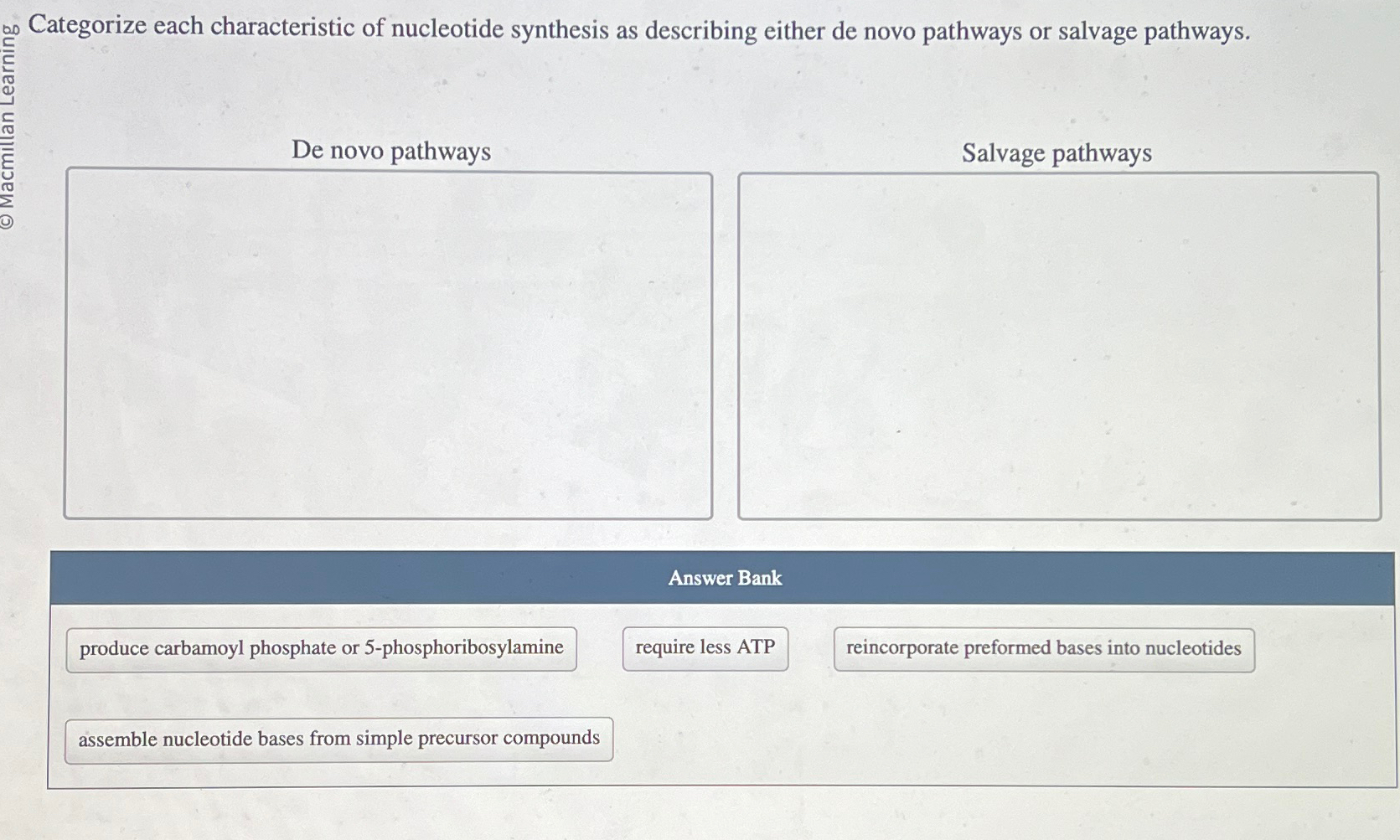 Solved Categorize Each Characteristic Of Nucleotide Chegg