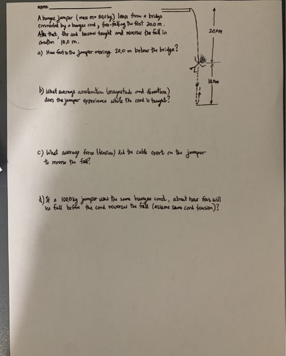 Solved NAPE 2006 A Bungee Jumper Mass M Bookg Leaps From Chegg