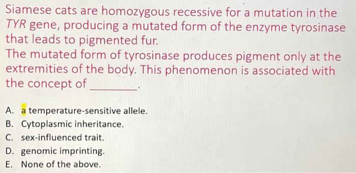 Solved Siamese Cats Are Homozygous Recessive For A Mutation Chegg