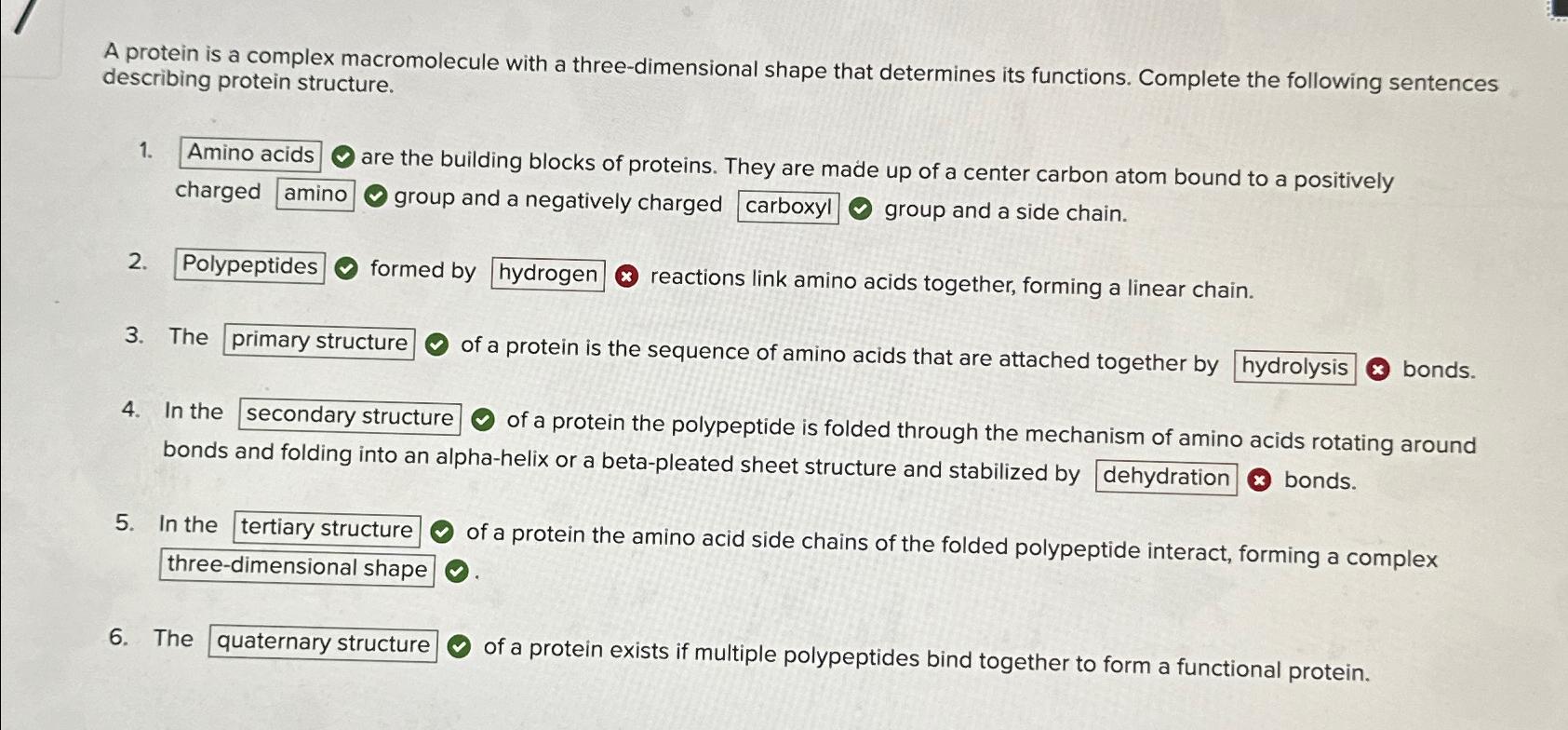 Solved A Protein Is A Complex Macromolecule With A Chegg