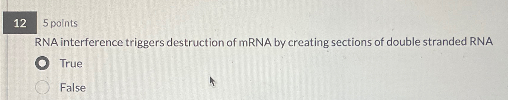 Solved Rna Interference Triggers Destruction Of Mrna By Chegg