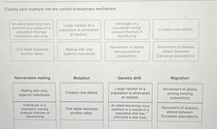 Solved Classify Each Example Into The Correct Evolutionary Chegg