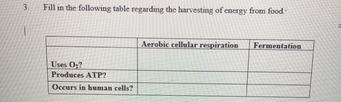 Solved Fill In The Following Table Regarding The Chegg