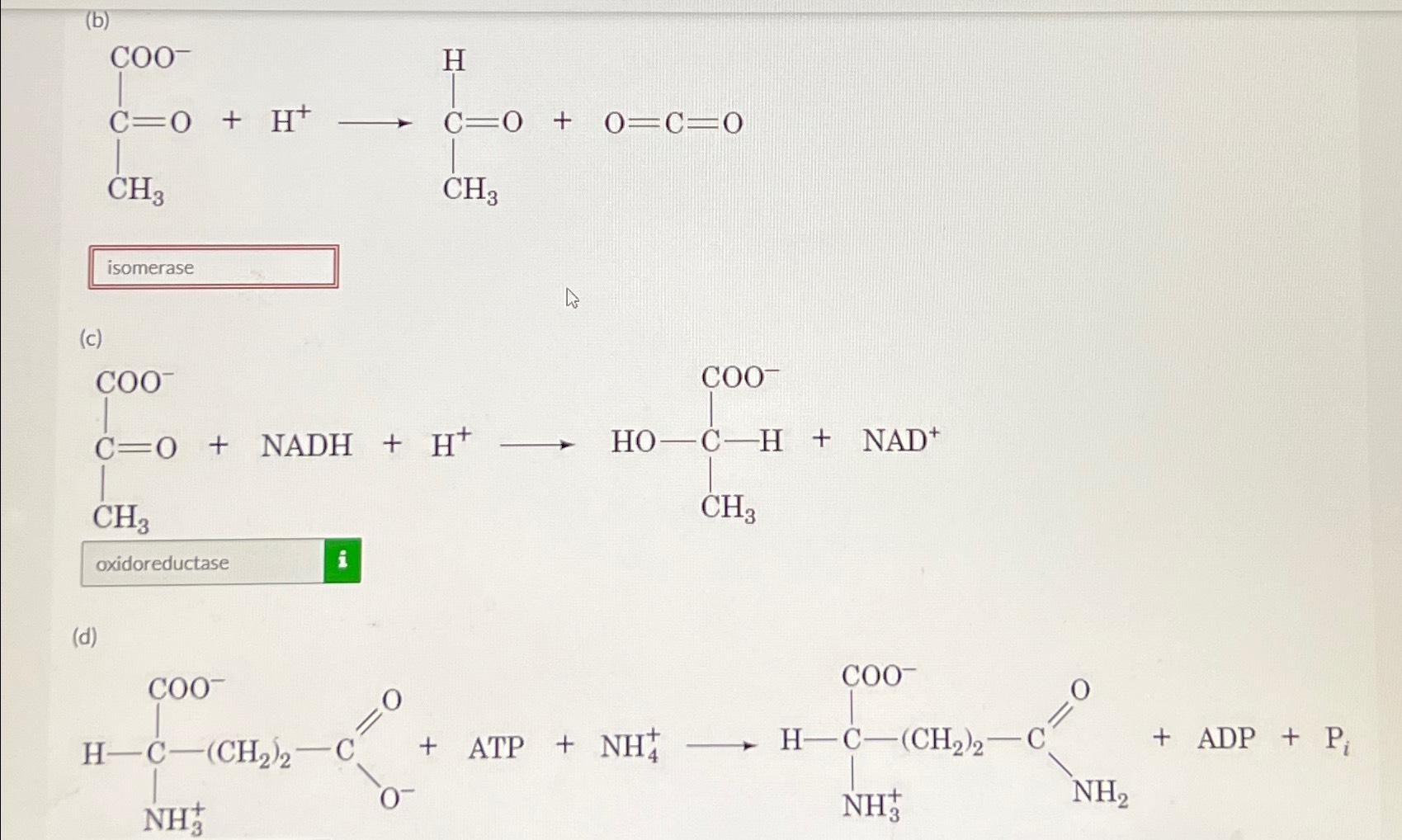 Solved Which Thoe Of Enzyme Catalyzes The Following Chegg