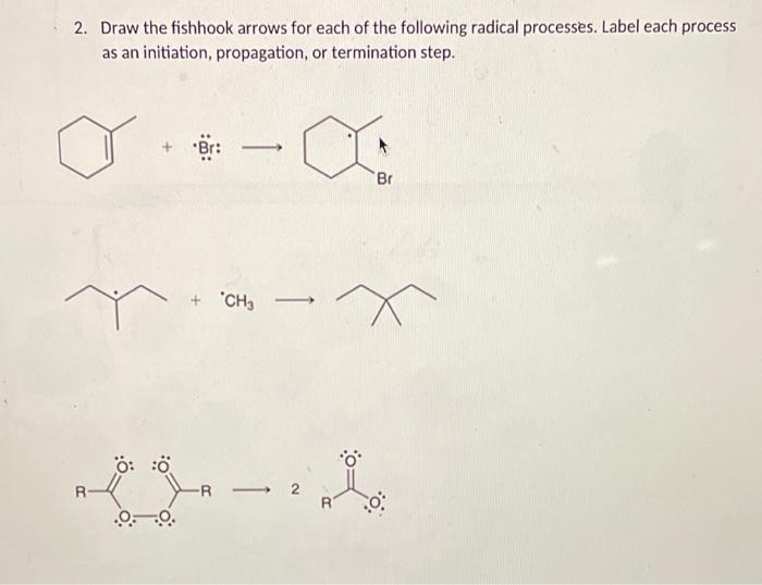 Solved Draw The Fishhook Arrows For Each Of The Following Chegg