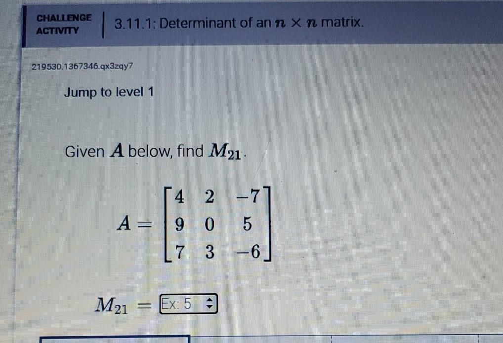 Solved Challenge Activity Determinant Of An N X N Chegg