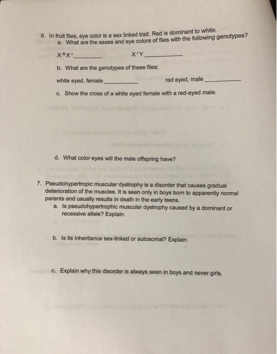 Solved 6 In Fruit Flies Eye Color Is A Sex Linked Trait Chegg