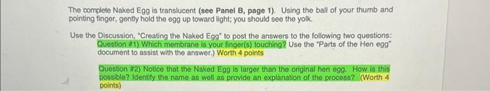 Solved The Complete Naked Egg Is Translucent See Panel B Chegg