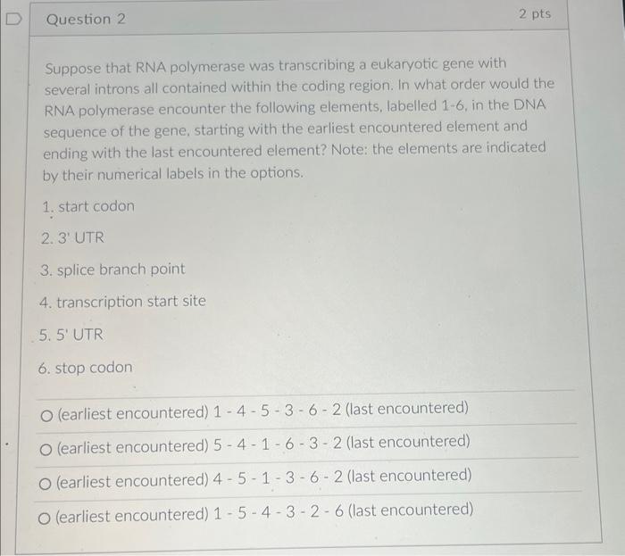 Solved Suppose That RNA Polymerase Was Transcribing A Chegg