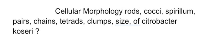 Solved Cellular Morphology Rods Cocci Spirillum Pairs Chegg