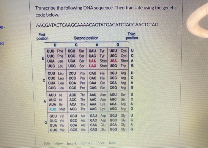 Solved Transcribe The Following Dna Sequence Then Translate Chegg