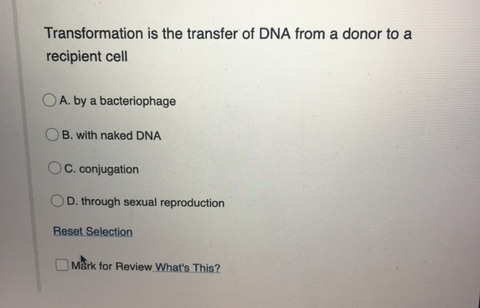 Solved Transformation Is The Transfer Of Dna From A Donor To Chegg