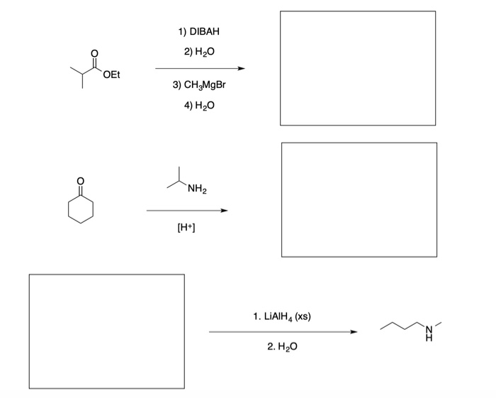 Solved 1 DIBAH 2 H20 3 CH2MgBr 4 H2O H 1 LIAIH4 Xs Chegg