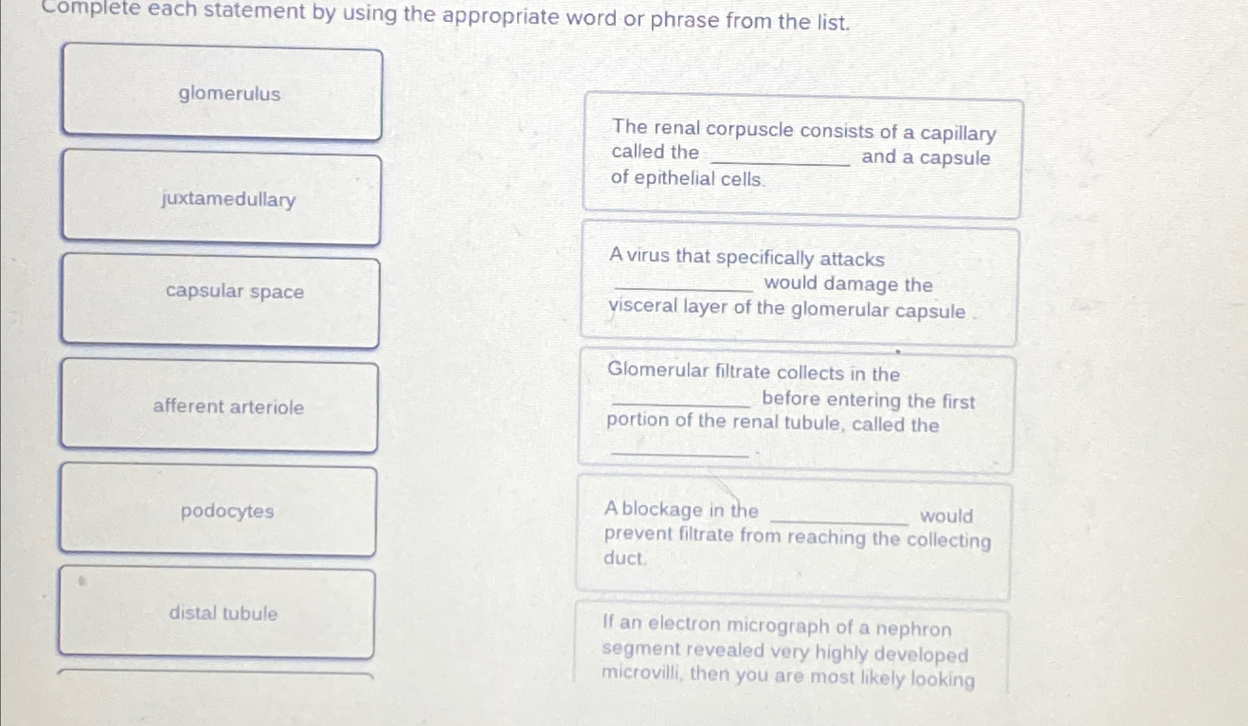 Solved Complete Each Statement By Using The Appropriate Word Chegg