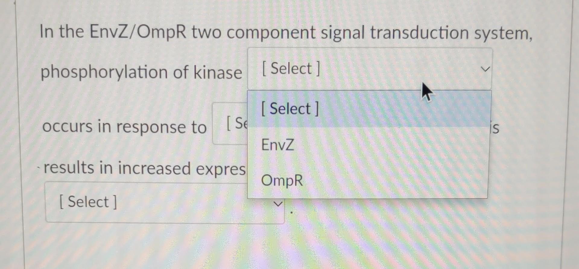 Solved In The Envz Ompr Two Component Signal Transduction Chegg