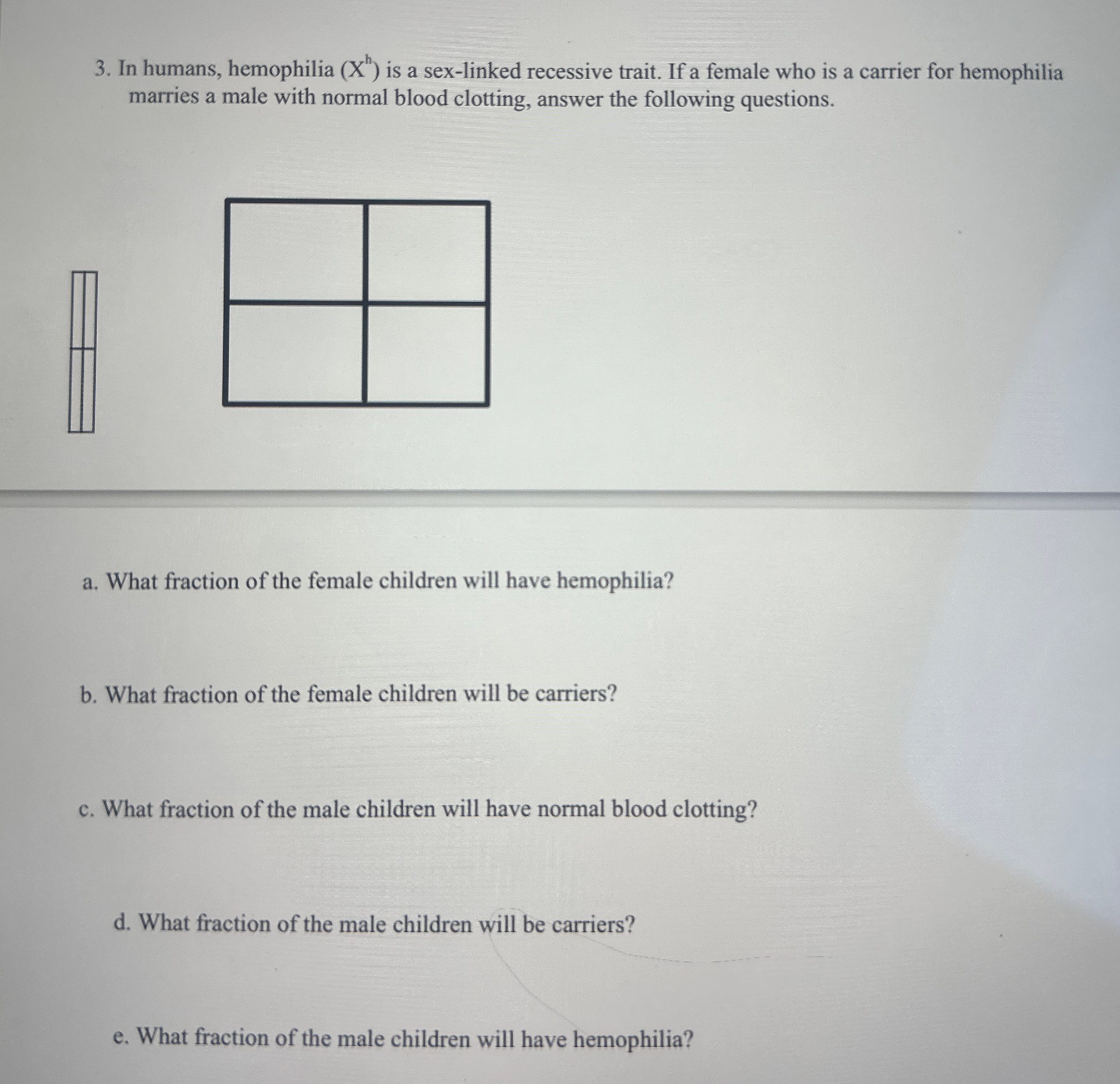 Solved In Humans Hemophilia Xh Is A Sex Linked Recessive Chegg