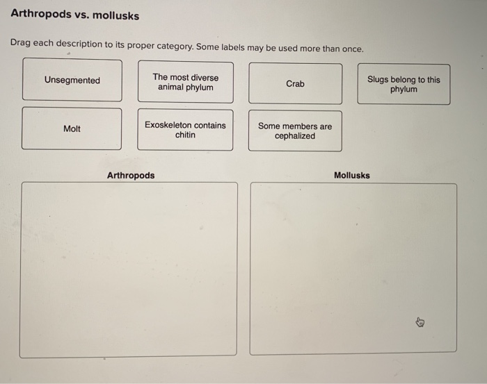 Solved Arthropods Vs Mollusks Drag Each Description To Its Chegg