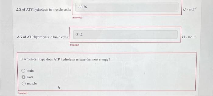 Solved The Concentrations Of ATP ADP And P Differ With Chegg