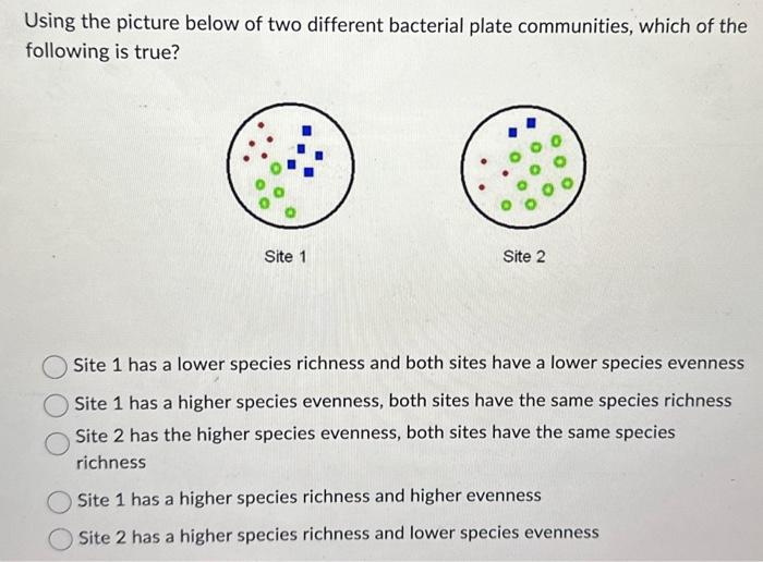 Solved Using The Picture Below Of Two Different Bacterial Chegg