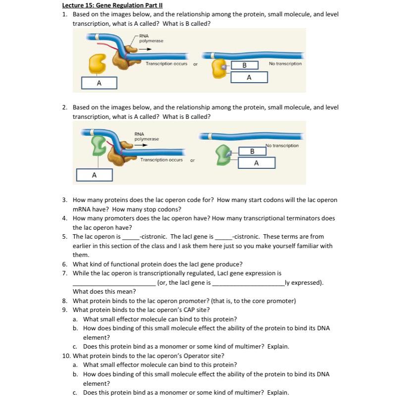 Solved Please Answer All Chegg