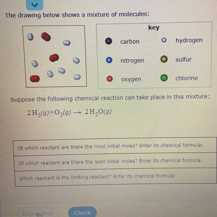 Solved The Drawing Below Shows A Mixture Of Molecules Key Chegg