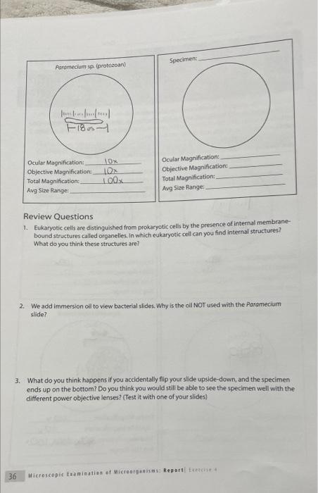 Solved Ocular Magnification Cbjective Magnification Total Chegg