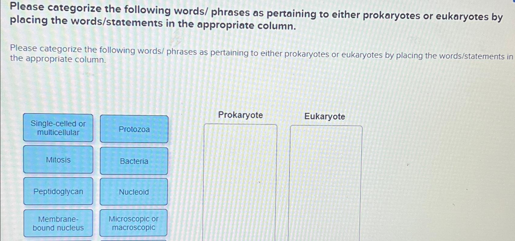 Solved Please Categorize The Following Words Phrases As Chegg