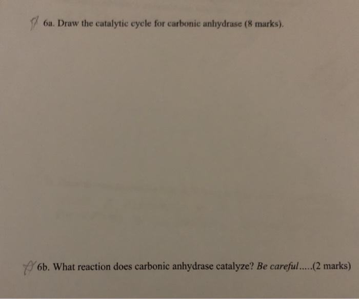 Solved A Draw The Catalytic Cycle For Carbonic Anhydrase Chegg