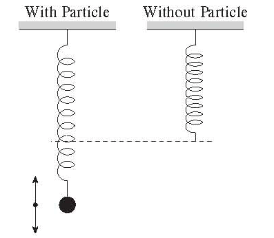 Solved A Particle Hangs From A Spring And Oscillates With A Chegg