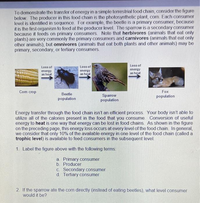 Solved Ecology And Ecosystems Ecology Is The Study Of Chegg