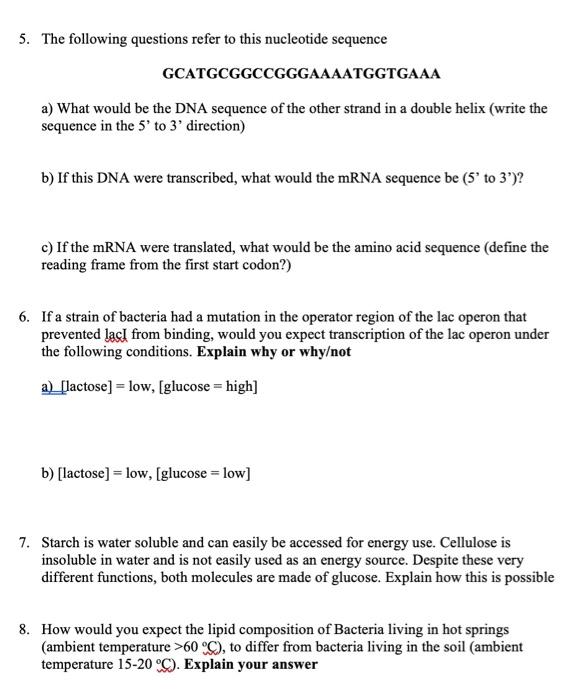 Solved 5 The Following Questions Refer To This Nucleotide Chegg