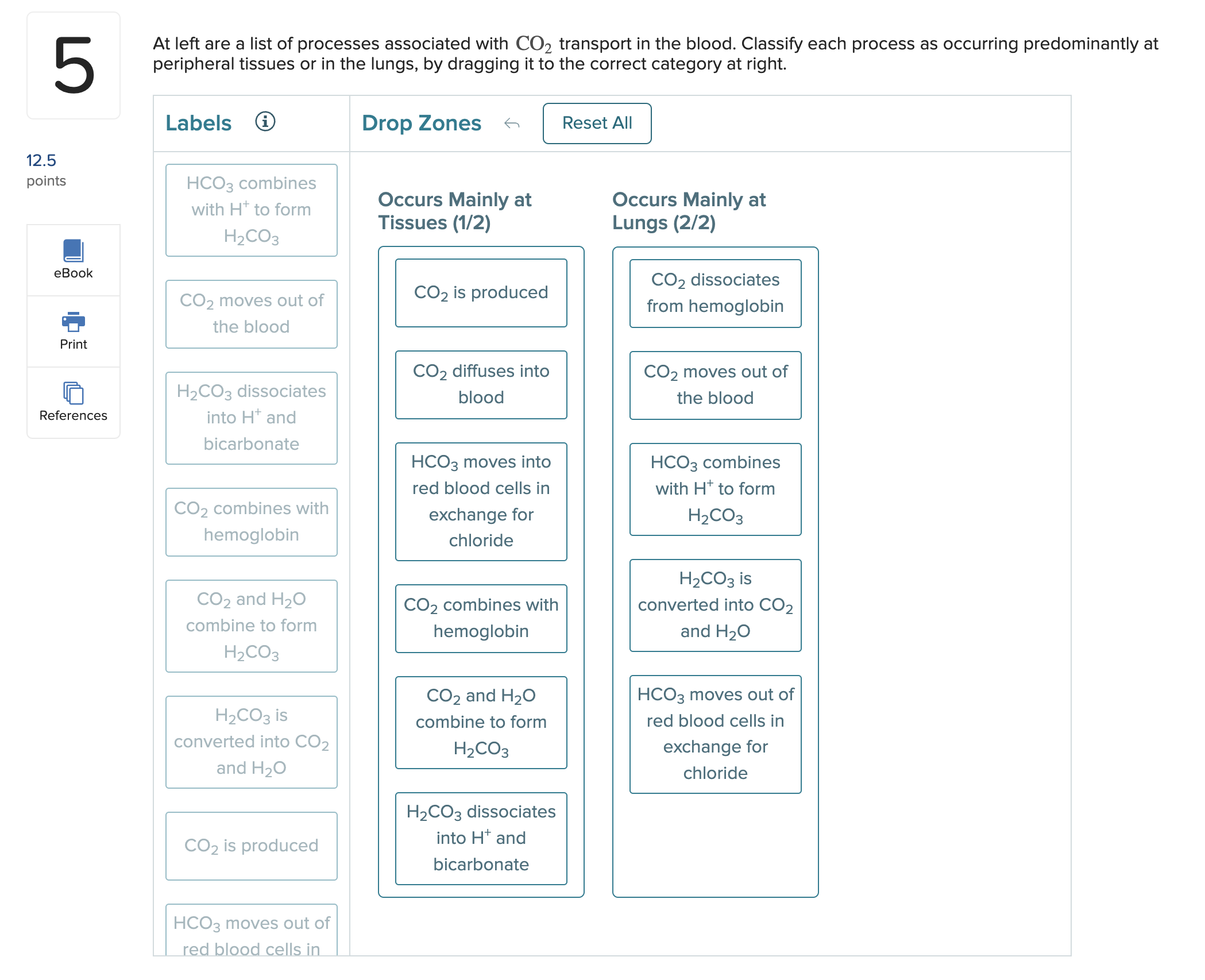 Solved At Left Are A List Of Processes Associated With CO2 Chegg