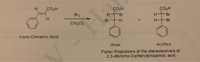 Solved Bromination Of Trans Cinnamic Acidwhich Stereoisomer Chegg