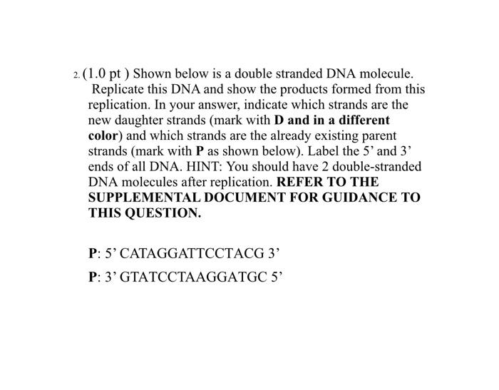 Solved Pt Shown Below Is A Double Stranded Dna Chegg