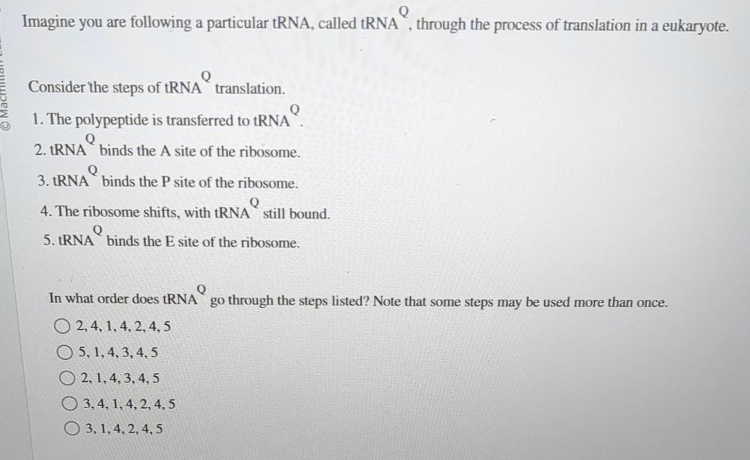 Solved Imagine You Are Following A Particular Trna Called Chegg