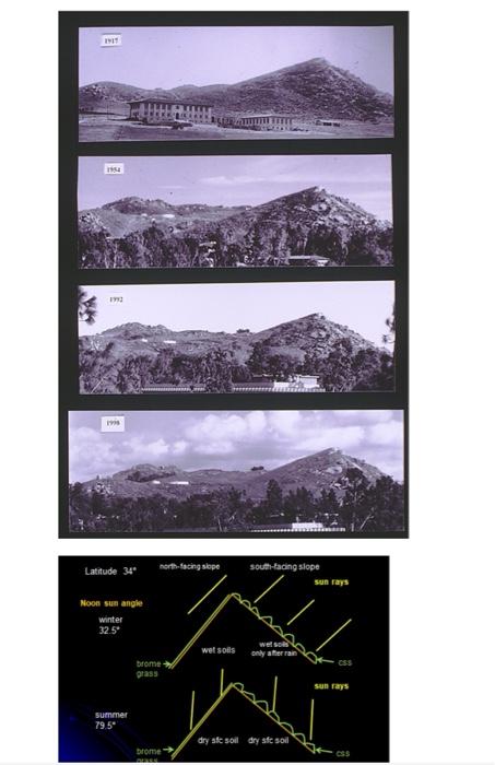 Solved Particular The Photo Sequence Given Below Chegg