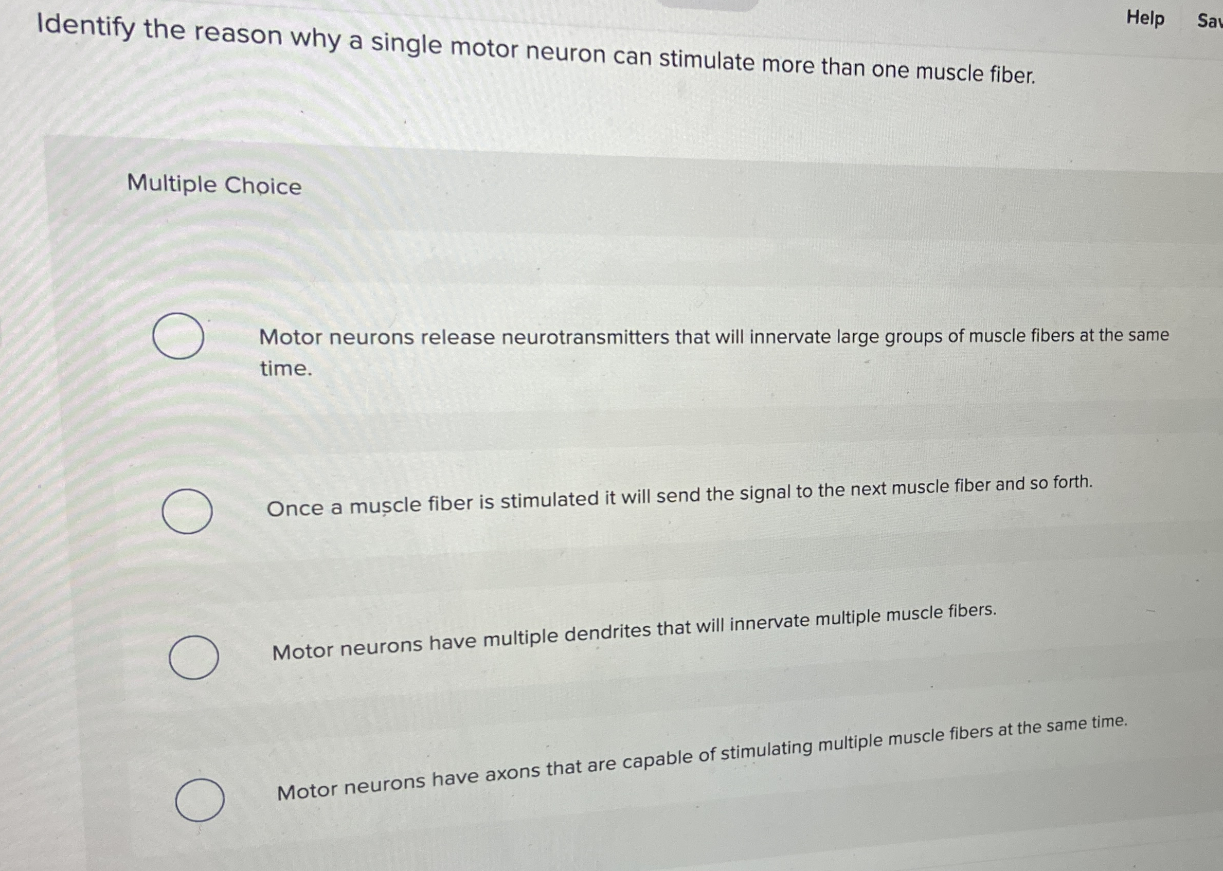 Solved Identify The Reason Why A Single Motor Neuron Can Chegg