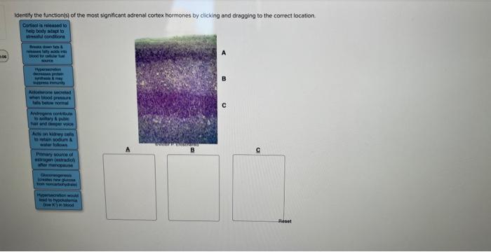 Solved Identify The Function S Of The Most Significant Chegg