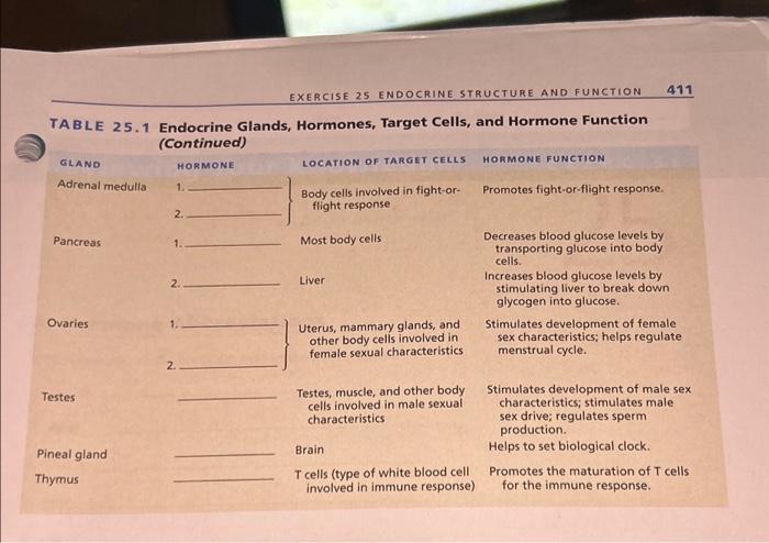 Solved EXERCISE 25 ENDOCRINE STRUCTURE AND FUNCTION TABLE Chegg