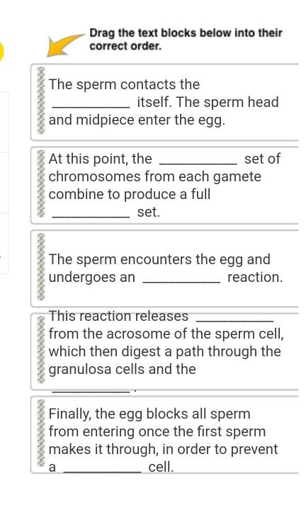 Solved Match Each Genetic Term With The Correct Definition Chegg