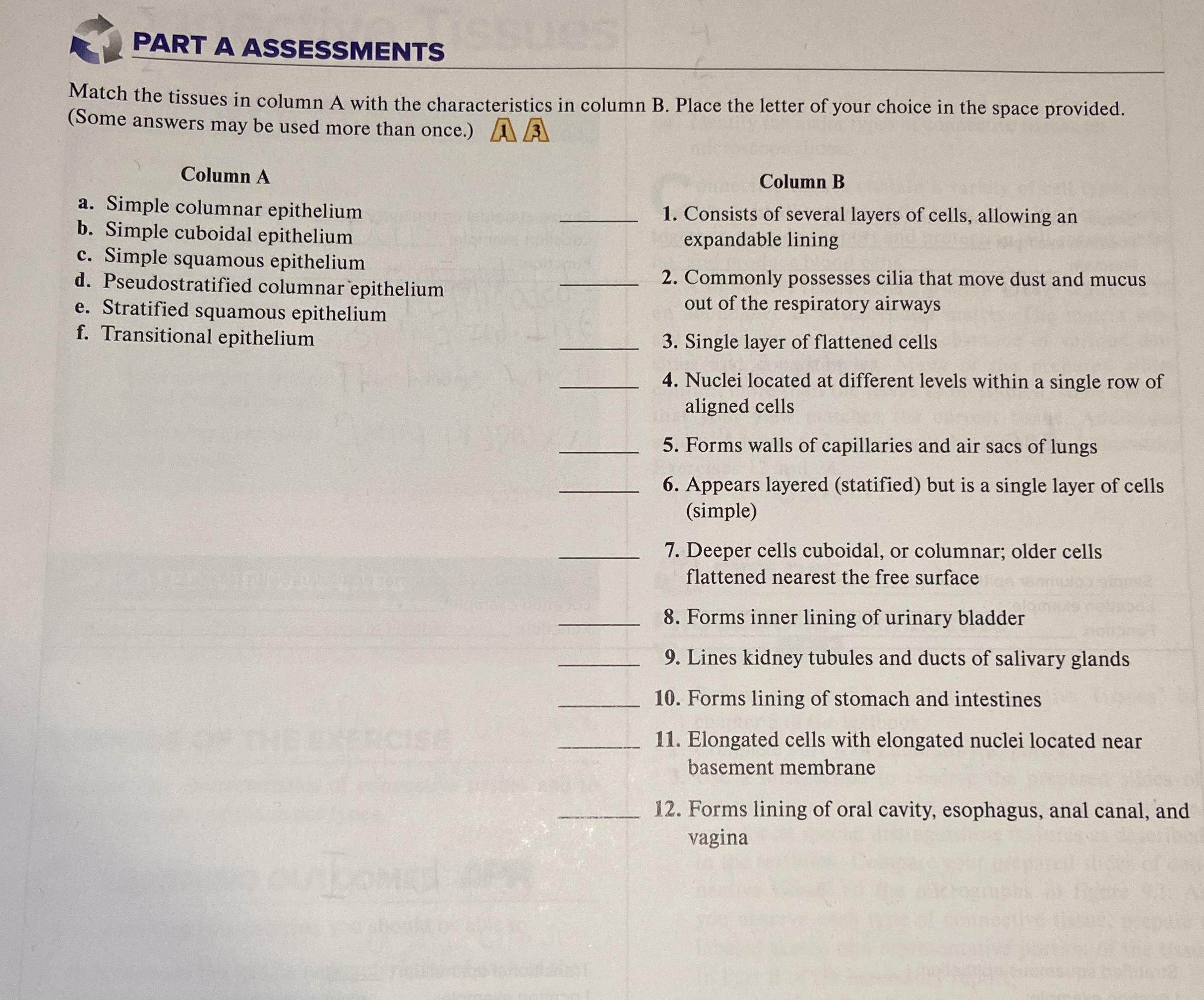 Solved PART A ASSESSMENTSMatch The Tissues In Column A With Chegg