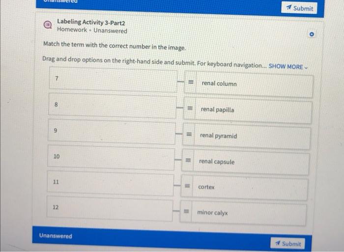 Solved Match The Term With The Correct Number In The Chegg