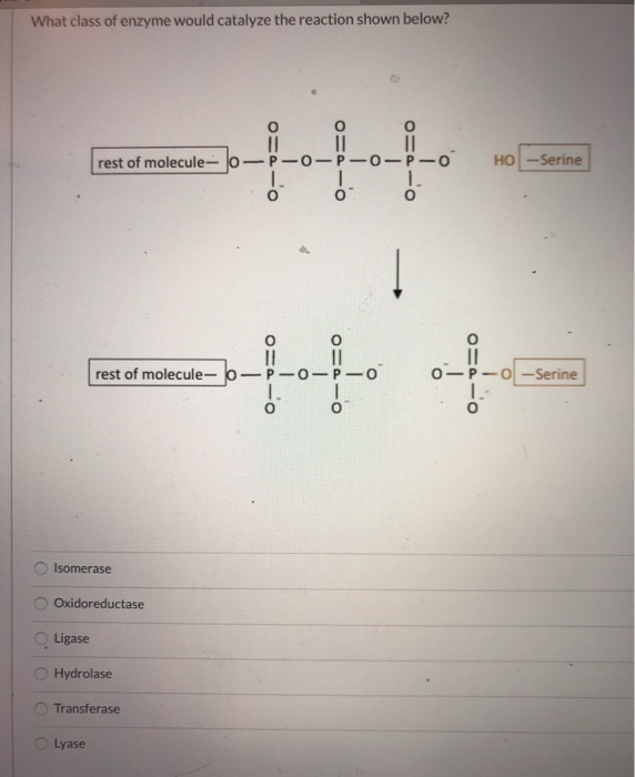 Solved What Class Of Enzyme Would Catalyze The Reaction Chegg