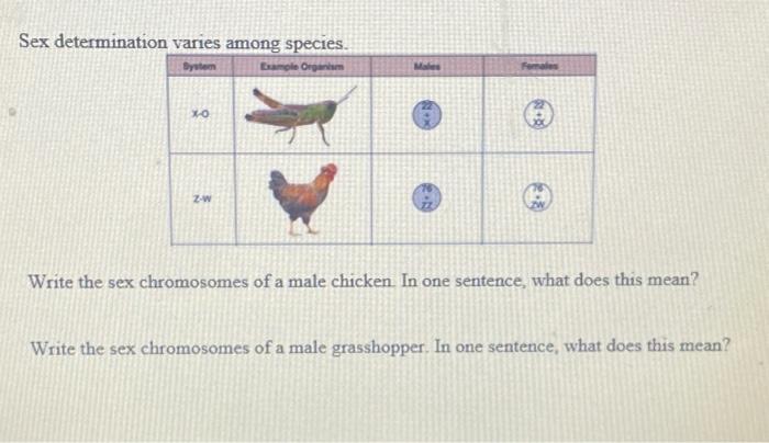 Solved Sex Determination Varies Among Species Write The Sex Chegg