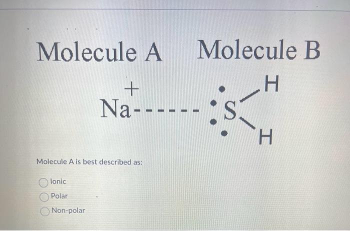 Solved Molecule A Molecule B Chegg