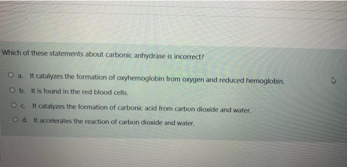 Solved Which Of These Statements About Carbonic Anhydrase Is Chegg