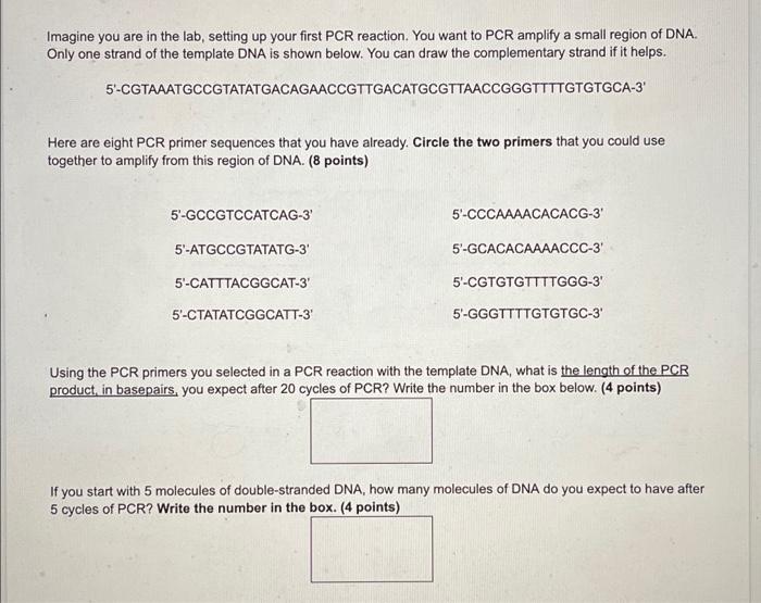 Solved Imagine You Are In The Lab Setting Up Your First Pcr Chegg