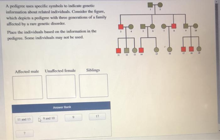 Solved A Pedigree Uses Specific Symbols To Indicate Genetic Chegg